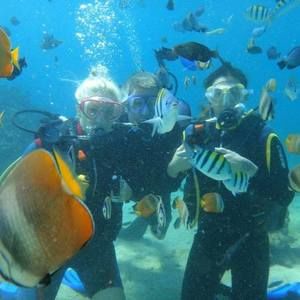 Meet your Posher, Billy